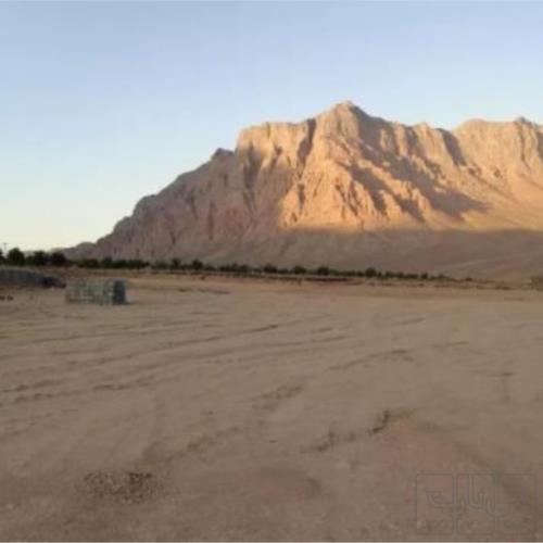زمین زراعی