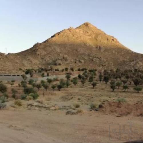 زمین زراعی